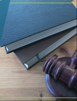 Recuperação Judicial na França - Aspectos para a Legislação Brasileira se Inspirar
